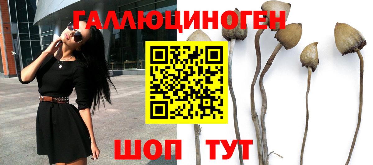 Псилоцибиновые грибы Magic Shrooms  Вход с VPN  Псилоцибиновые грибы мицелий  Минусинск 