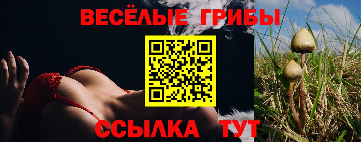 Галлюциногенные грибы MAGIC MUSHROOMS Минусинск