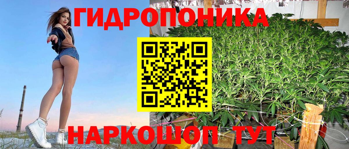 Бошки Шишки Amnesia Минусинск